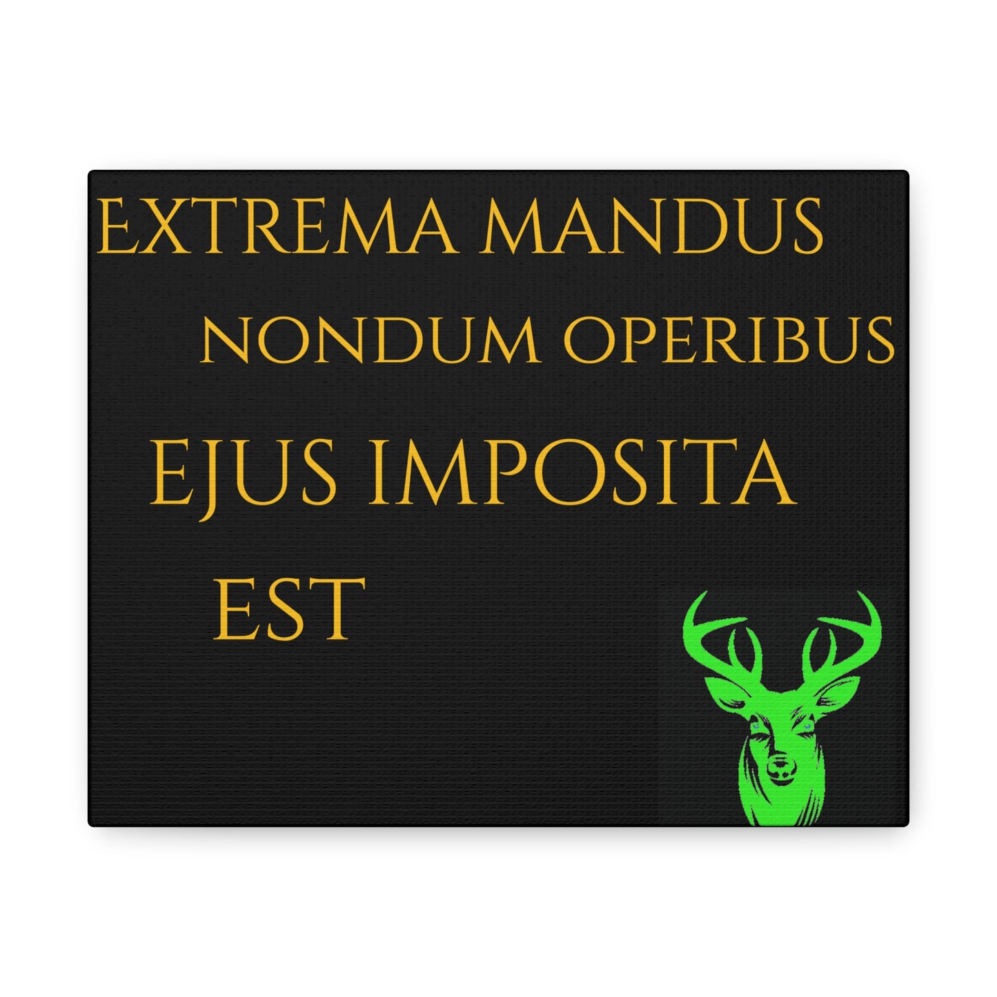 Canvas Gallery Wraps