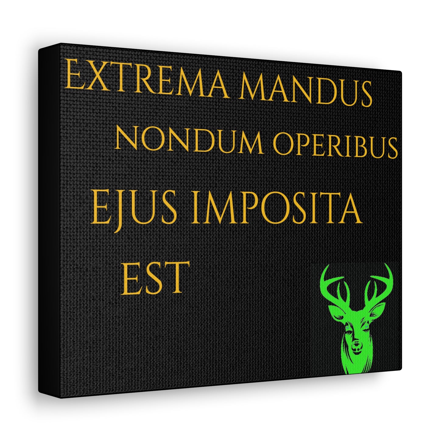 Canvas Gallery Wraps